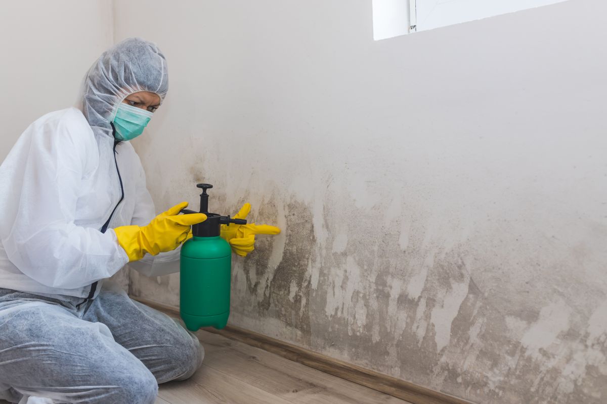 Mold Testing
